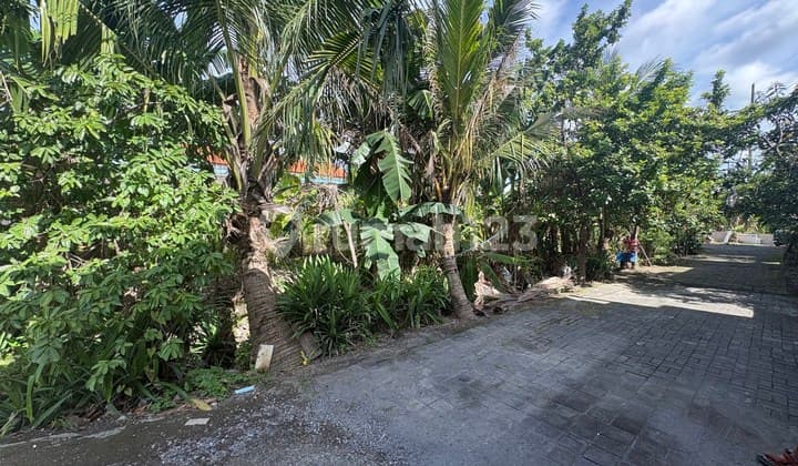 Tanah Strategis 6,8 Are Disewakan, di Mahendradatta, Denpasar Area
