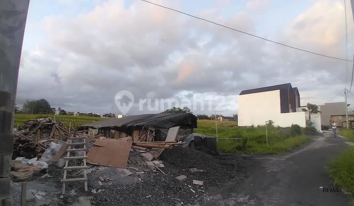 Land 7.93 Are Residential Zone for Rent, in Pererenan Canggu Area
