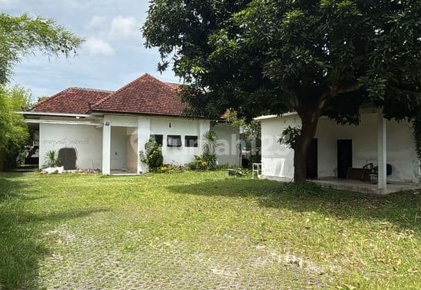 Gedung Kantor Komersial 1 Lantai Disewakan, di Denpasar Timur Area