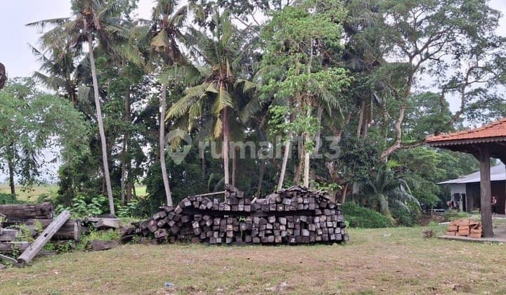 Tanah 28,75 Are View Sawah Dijual, di Tanah Lot Tabanan Area