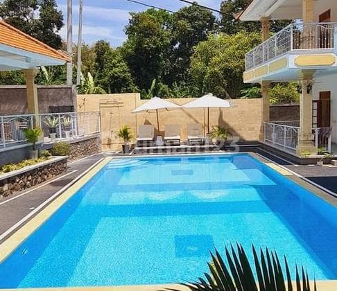 Homestay dan Villa Super Premium Dijual, di Lovina, Buleleng Area