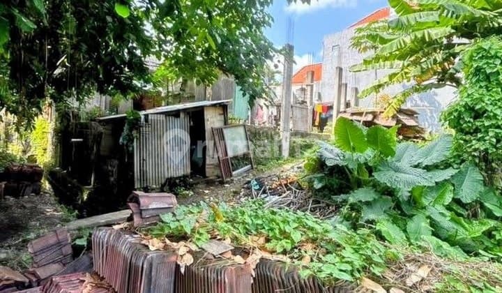 Premium and Cheap Land 3.36 Are for Rent, in Babakan, Canggu Area