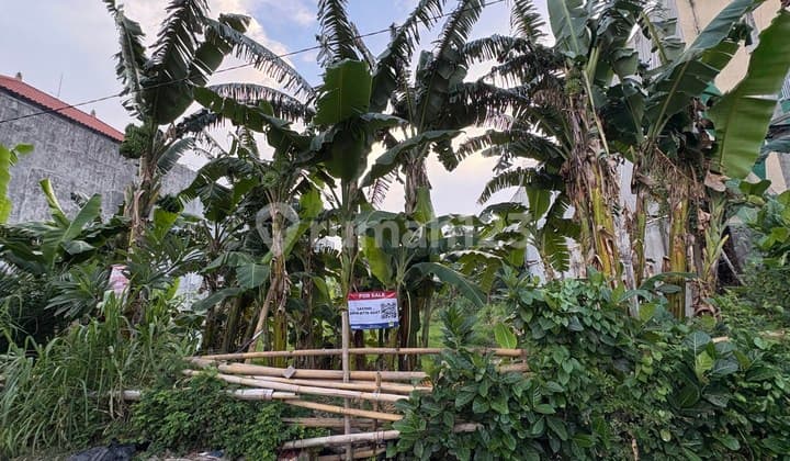 Tanah Strategis 21 Are Dijual, di Dewi Sri Kuta Area