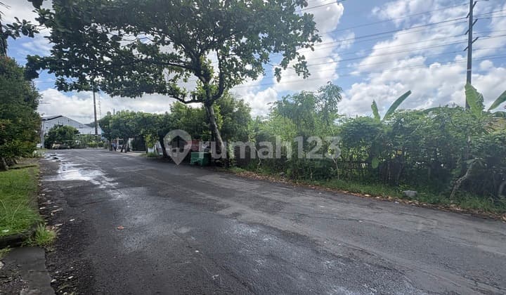 Tanah Strategis 9,4 Are Disewakan, di Area Mudutaki Dalung