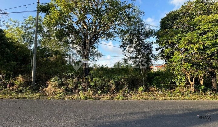 Tanah 8 Are di Pinggir Jalan Dijual, di Dharmawangsa, Ungasan Area