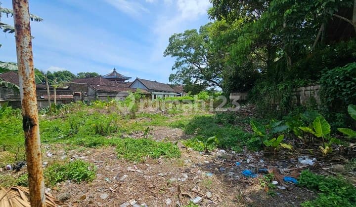 Tanah Premium 20,7 Are Hadap Timur Dijual, di Mas, Ubud Area