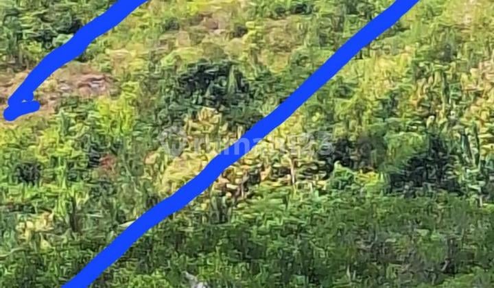 Tanah 87 Are View Laut Dijual, di Ceningan, Nusa Penida Area