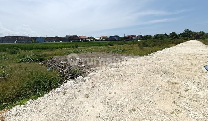 Tanah Strategis 3,38 Are Dijual, di Area Premium Imam Bonjol Denpasar