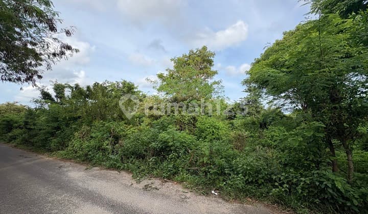 Tanah Premium 30 Are Zona Pertanian Dijual, di Kutuh Badung Area
