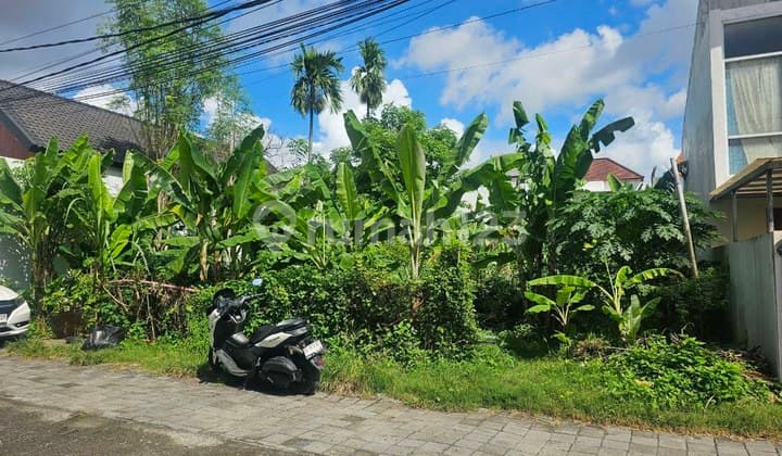 Tanah Cantik 5 Are Dijual, di Sedap Malam, Sanur Area