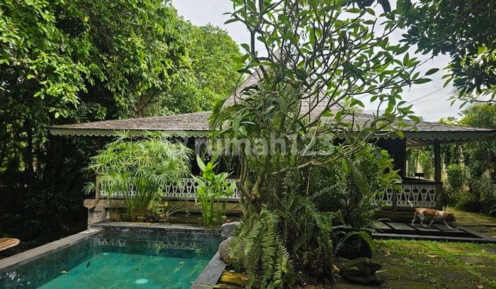 Premium Land 6.58 Are Bonus Villa for Sale, in Pererenan Area