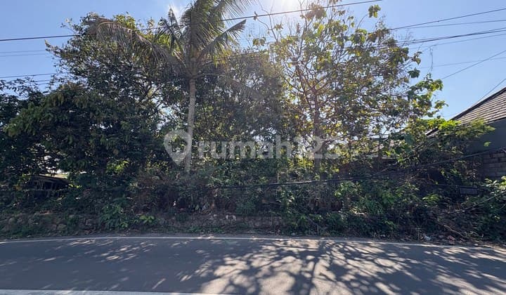Tanah Strategis 9,8 Are Dijual, di Pecatu, Kuta Selatan Area