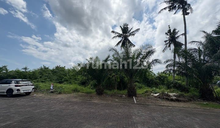 Tanah Premium 25,69 Are Lokasi Bagus Dijual, di Munggu, Badung Area