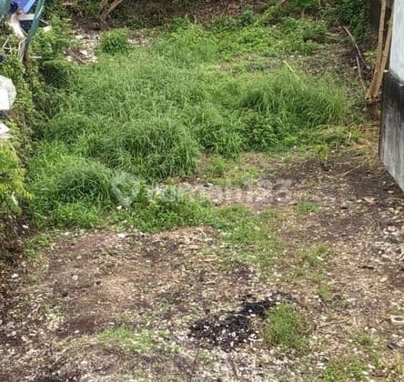 "Strategic 4-Are Land Near Green Bowl Beach for Rent, in Ungasan"