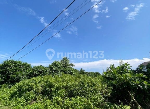 Premium Land 2.14 Are for Rent in Kerobokan, North Kuta Area