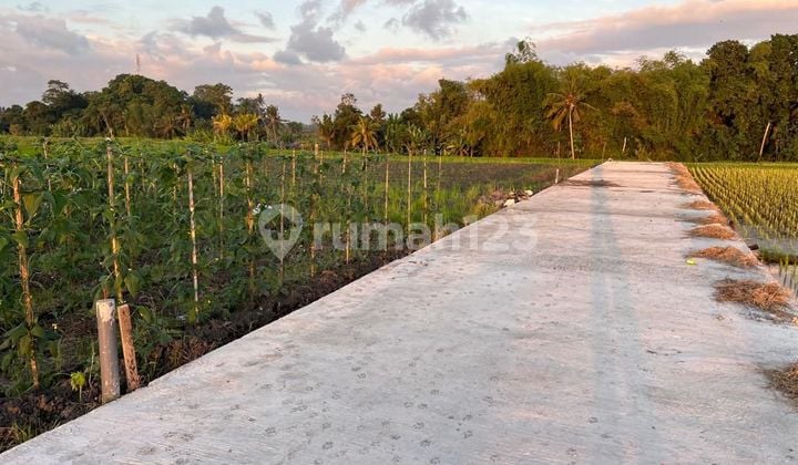 Premium 5 Are Land for Sale in Strategic Kedungu Area, Tabanan