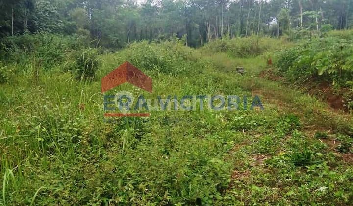 Tanah Kavling Minimalis di Ngenep Karangploso