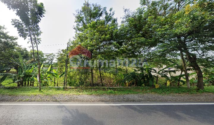 Tanah di Raya Kediri Kertosono Cocok Untuk Bangunan Komersil