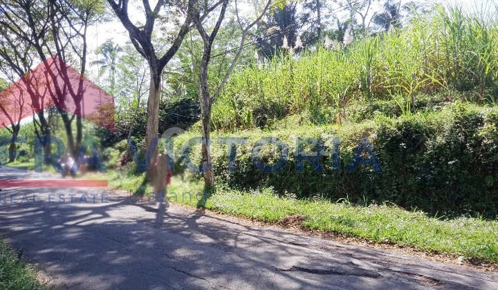 Dijual Tanah Dekat Wisata Air Terjun Tanaka