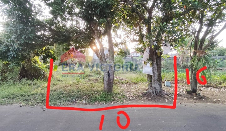 Tanah Kavling Daerah Dau Akses Mudah Hawa Sejuk, Suasana Asri Malang