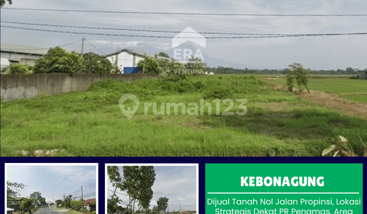 Dijual Tanah Nol Jalan Propinsi, Lokasi Strategis Dekat Penamas