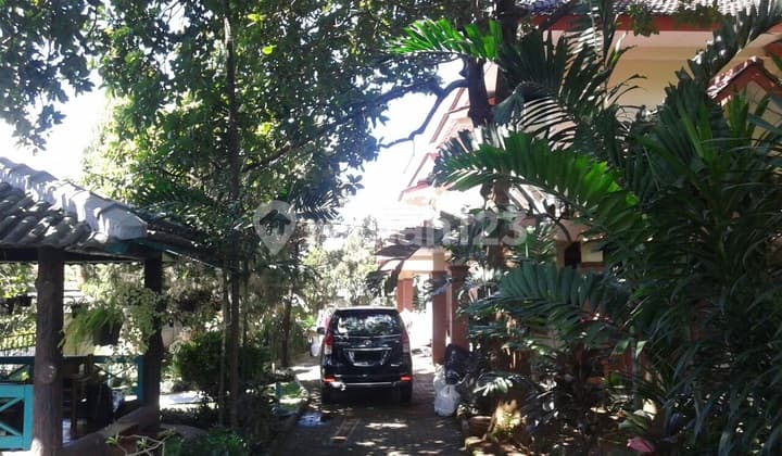 Rumah Yang Sejuk di Margasatwa Raya, Jaksel