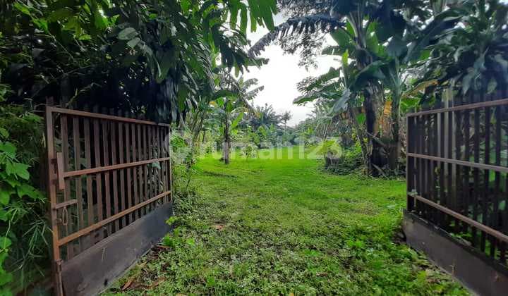 Dijual Tanah di Cibuluh Bogor Lokasi Bagus Cocok Untuk Investasi
