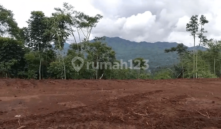 Tanah Luas Murah Zona Desa Sukahayu Rancakalong Sumedang