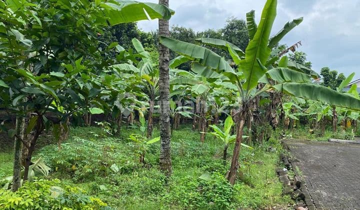 Tanah Siap Bangun Harga Nego di Ciracas Jakarta Timur