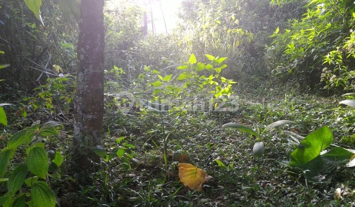 Jual Tanah di Kebandungan , Sukabumi