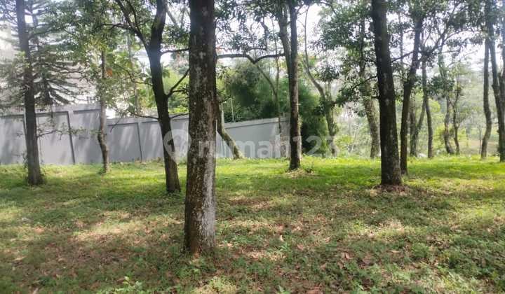 Selling Plot in Sentul City Within a Cluster