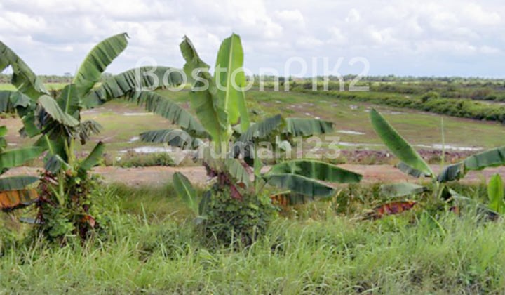 Jual Kavling Tanah Industri 2 Ha 100x200 Kawasan Ekonomi Khusus Kek Tanjung Api Api Palembang Sumatera Selatan