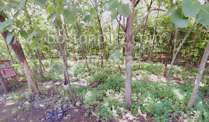 For Sale Only 3.3 Million Land 5000 Sqm Beside Citra Garden Serpong Suradita Tangerang - Sell Land 5000 Sqm Next to Grand Serpong Permai Suradita Tangerang Banten