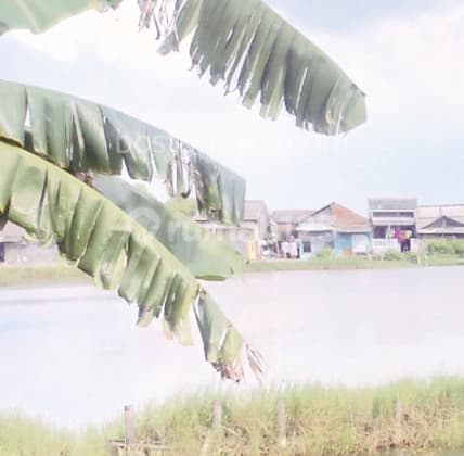 For Sale Only 1.4 Million, 4500 Sqm Land on Tiram River Road Rorotan Marunda Below NJOP for House and Warehouse - Sell Land 4500 Sqm Rorotan Marunda Under NJOP