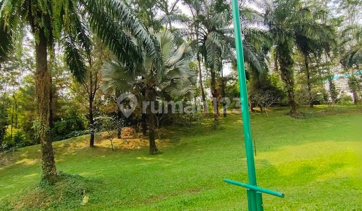 Lokasi Cbd Sentul City Luas 2.000m² Sampe 15.000m2