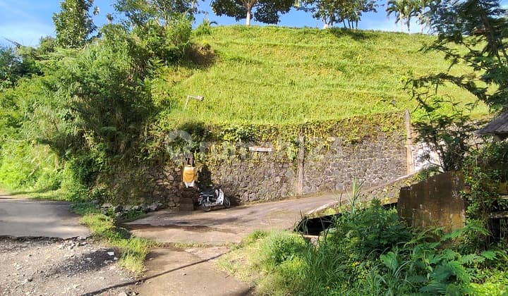 Tanah Tinggi View Bagus Diatas Bukit di Ubud Desa Pupuan Tegallalang Bali