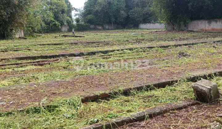 Dijual Cepat Tanah di Kertajaya Rumpin Bogor Cocok untuk Mini Cluster atau Peternakan Lokasi Strategis