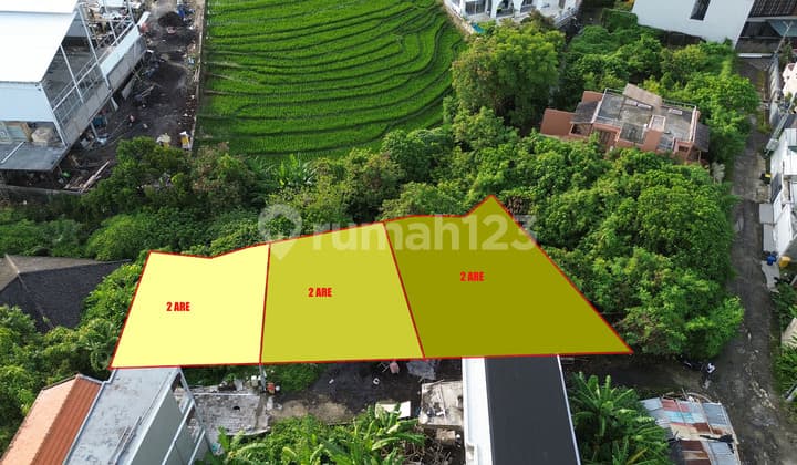 Dijual / Dikontrakkan Tanah Premium di Berawa Canggu Lokasi Villa Mewah