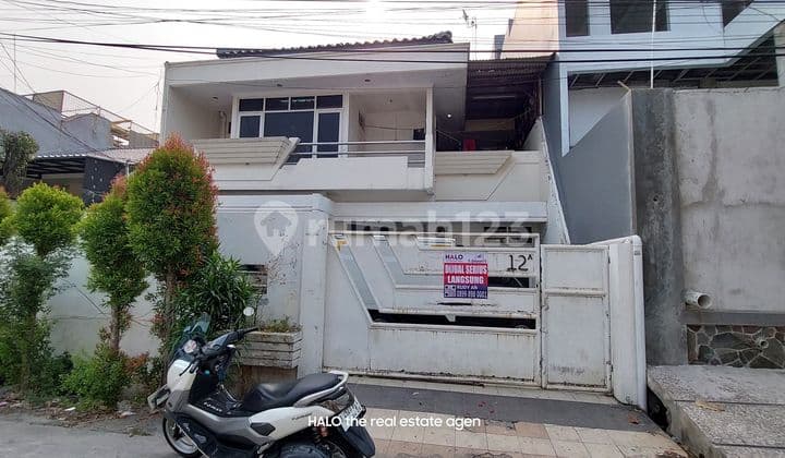 Serious Sale, 2 Floors East Green Garden