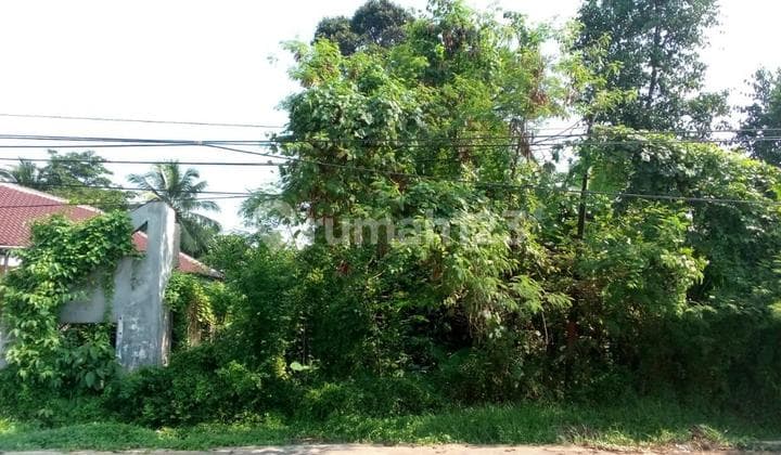 Kaveling Perkebunan Siap Bangun,lokasi di Jalan Cinangka, Anyar,serang
