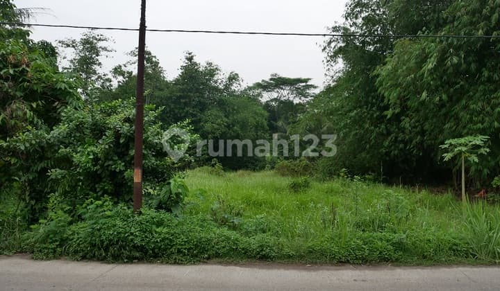 Tanah Perkebunan Siap Bangun, Tenggara, di Jalan Pematang, Tigaraksa