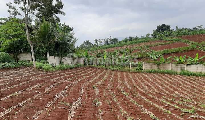 Land For Sale In Cianjur 3.5 Hectares Suitable For Educational Institutions