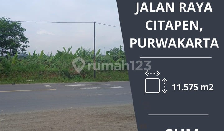 Dijual cepat tanah di jalan raya citapen sukajaya purwakarta
