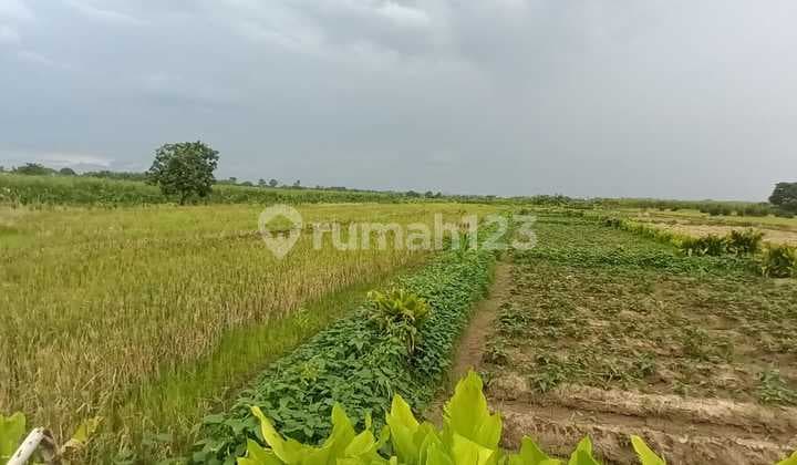 Dijual Lahan Strategis Menganti