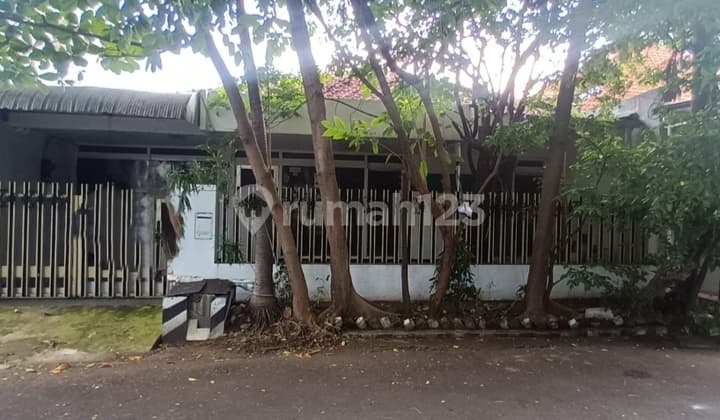 Disewakan Rumah Manyar Tirtomoyo