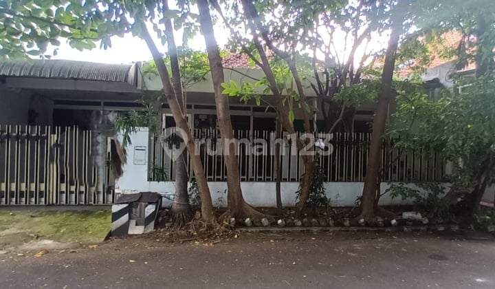For Rent Manyar Tirtomoyo House