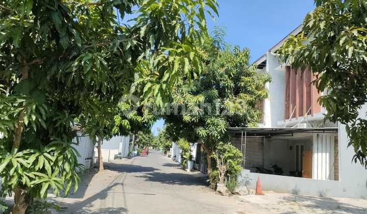 Dijual Rumah Via Lelang Green Semanggi Mangrove