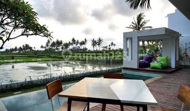 Rumah Villa Furnished 2 Lt Pool View Sawah Lokasi Kemenuh