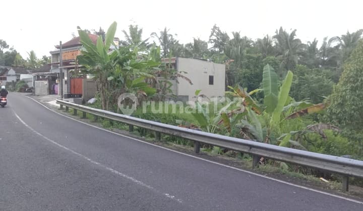 Penebel Land On Main Road Buruan SHM 1900 m²
