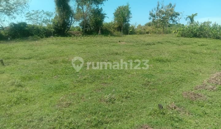 Tanah kavling di Tegalbadeng SHM